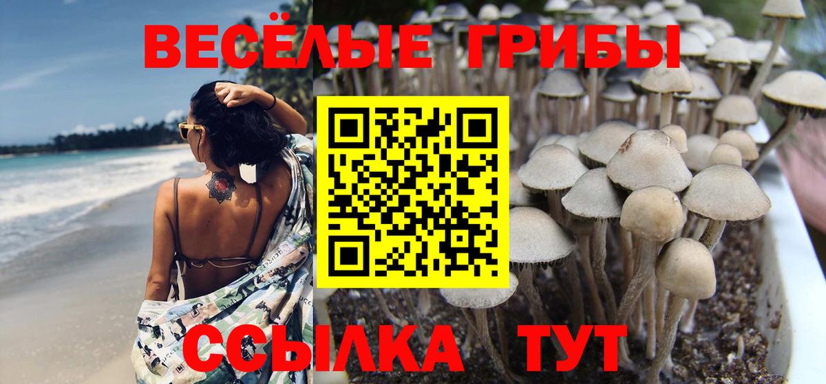Галлюциногенные грибы Magic Shrooms  Вход с VPN  Минусинск 